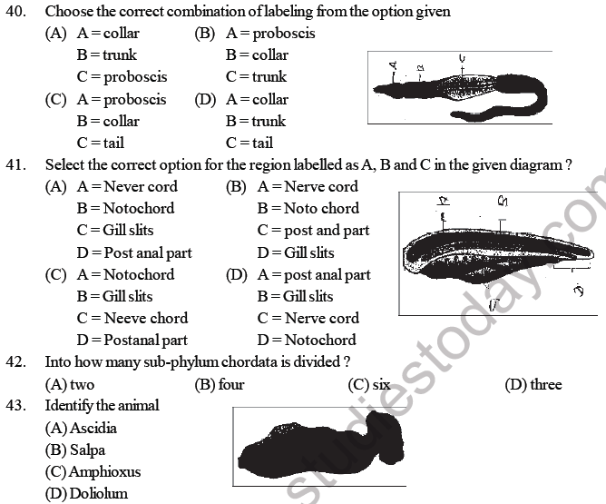 Arthropoda Class 11 Mcq Most Repeated Questions Anima vrogue.co